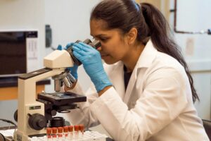 summer planning with research
